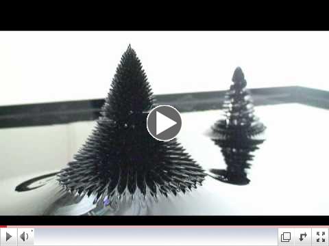 Sachiko Kodama, Yasushi Miyajima 