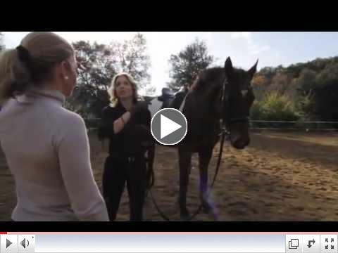 Alchemy in Horsemanship with Dr. Maria Katsamanis [Trailer]