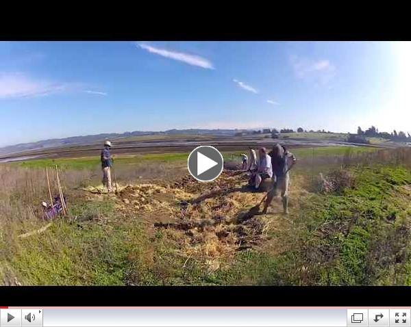 Land stewardship staff and volunteers team up to remove an erosion gully