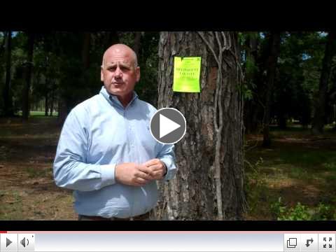 Beaufort County Delinquent  Tax Sale  FIrst Monday of  Octob