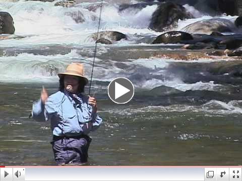 Stepping into the Stream (trailer)