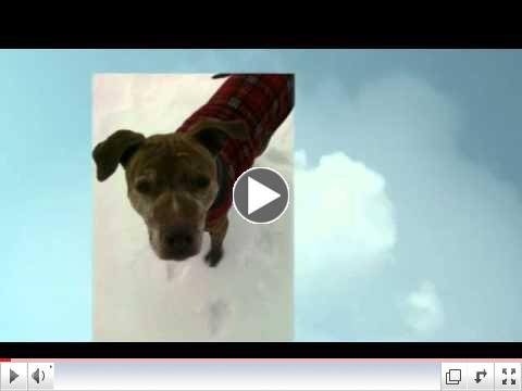 Tribute to Delilah - 1998 to 2012