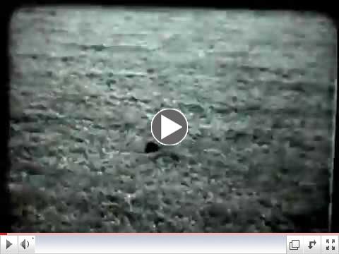 Television Highlights of 1963 National Retriever Field Trial Championship