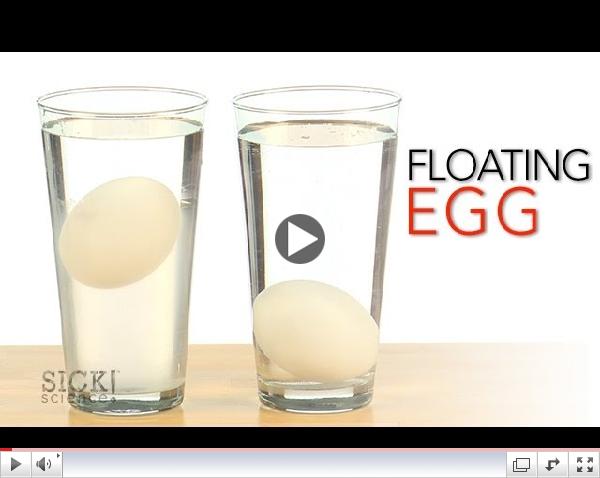Floating Egg - Sick Science! #167