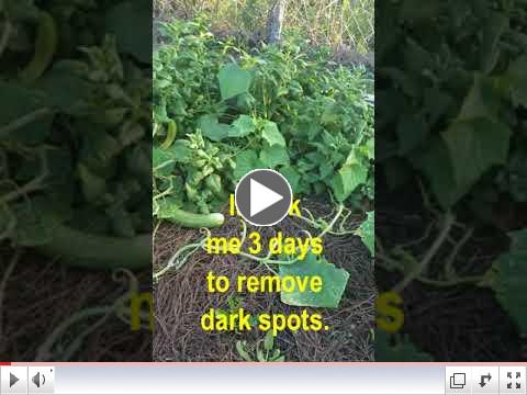 Green Thumb at 60 - Video #17 - Homemade Fungicide