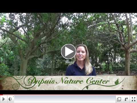Meet Kim Elliott, CES Education & Training Coordinator at DuPuis Nature Center