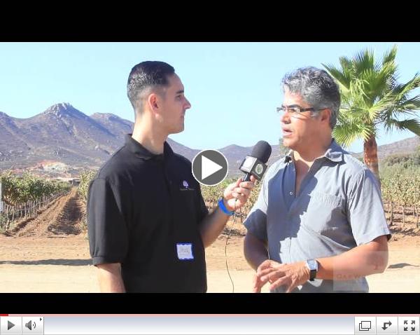 OTV-SDAR & AMPI Baja California Wine Tour