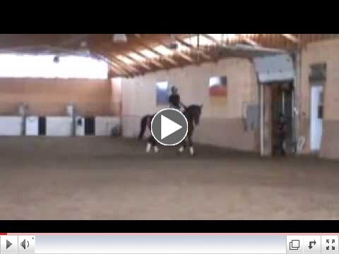 hanoverian 