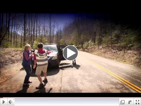 Leave your firewood at home