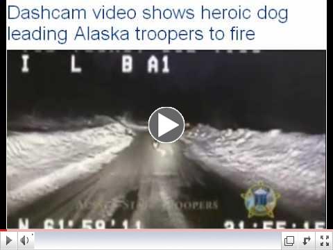 Dog Leads Alaskan Troopers to Fire-video shot on a State troopers dashcam