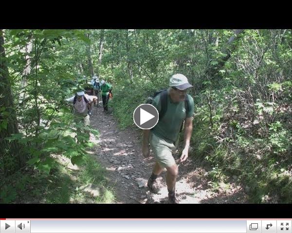 Forests Help People And The Economy