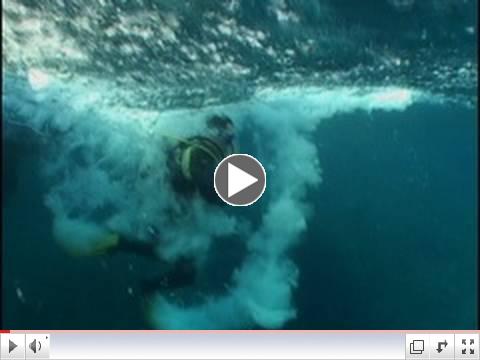 Scuba Diving in a Tsunami