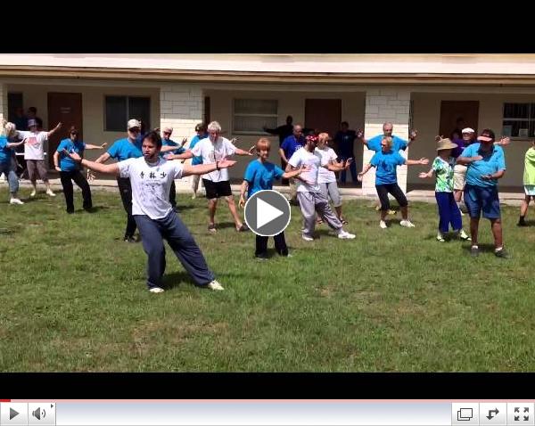 World Tai Chi & Qigong Day - 24 Taijiquan Form