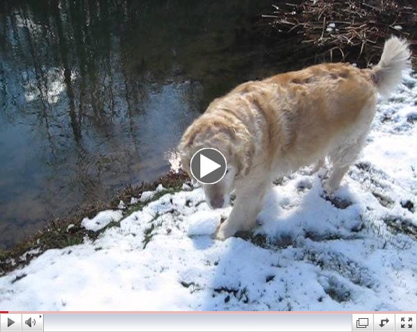 Christabel's First Snowfall in America