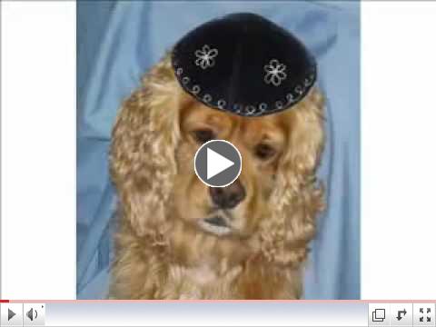 A Passover Greeting From Charlie