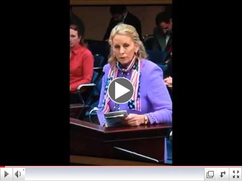 Debbie Harrison Rumberger testifies on behalf of the LWVF