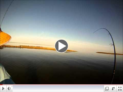 Fishing The Flats, Tarpon Springs