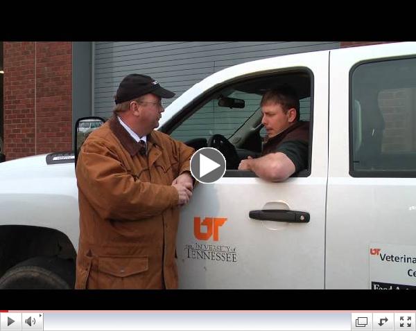 University of Tennessee Veterinary Medical Center Veterinarians Talk about Grass Tetany