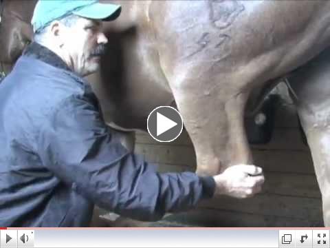 Releasing Tension In The Pelvis, The Masterson Method