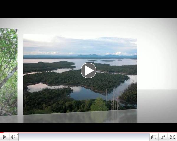 Building REDD+ for People and Nature: lessons learned in Indonesia, Peru and the DRC