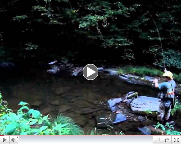 John McPhillips catches a native Cedar Run Brookie