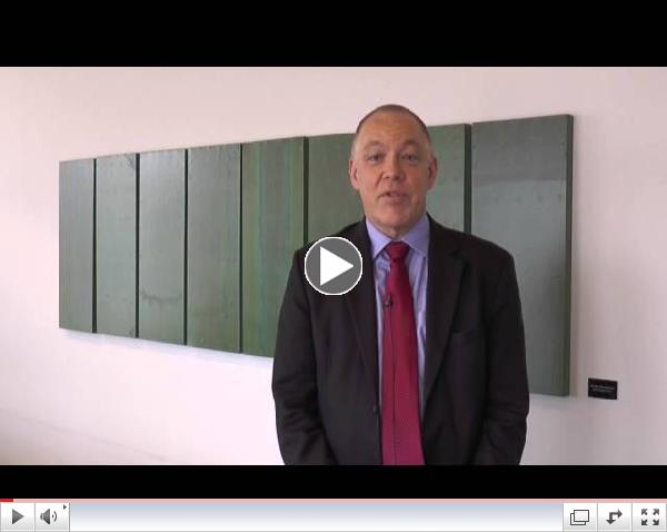 UN Development Goals: Michael Anderson