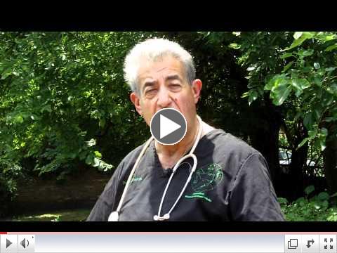 Vaccine Webinar Series