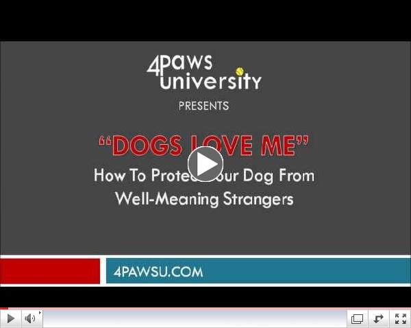 Dogs Love Me: Protecting Your Dog From Well-Meaning Dog Lovers