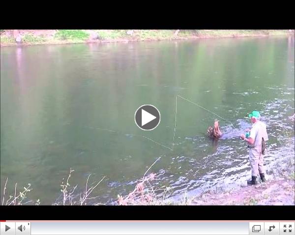 Dick Crawford Casting and Catching a Fish on Pine Around a Log