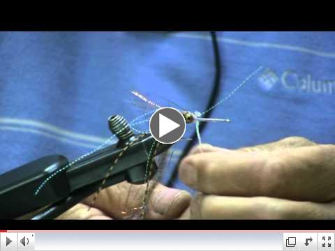 Tying the St. Simons Scampi