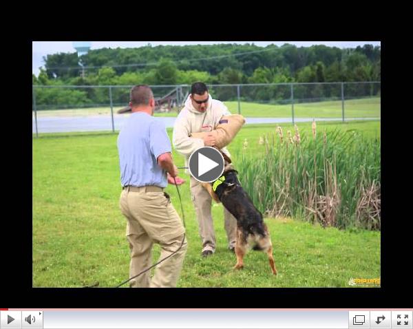 Tripwire Operations Group K-9 Division Decoy Class 01-13