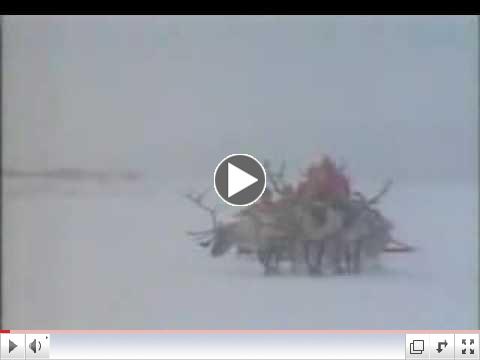 Chuck Berry -- Run Rudolph Run