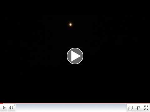 Peepers, Toads and a Bullfrog under the moon