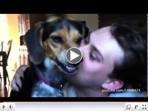 Proof Cats And Dogs Dont Want Your Kisses - original video