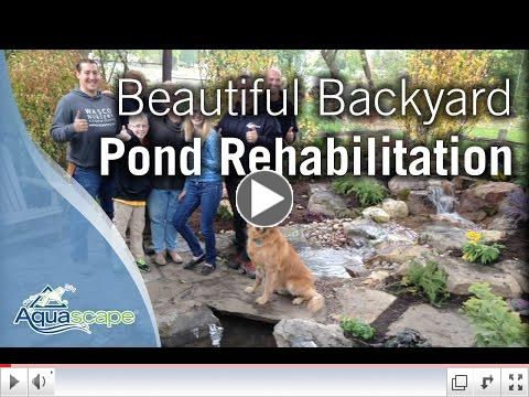 Beautiful Backyard Pond Rehabilitation
