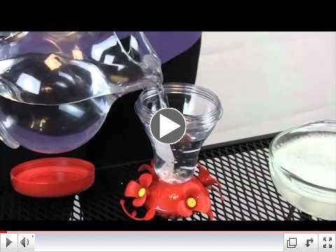 How to Fill and Clean Your Perky-Pet Hummingbird Feeder
