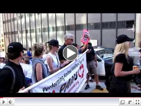 Global March for Elephants and Rhinos - San Francisco 2014