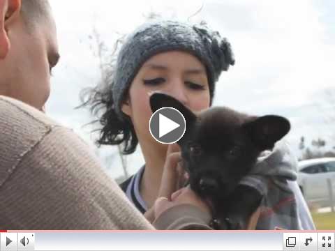 LEAP Into Spring COS Hanford ASB Feb 29 2012.wmv