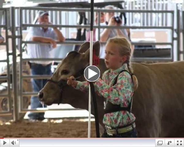 State Fair Junior Show 13