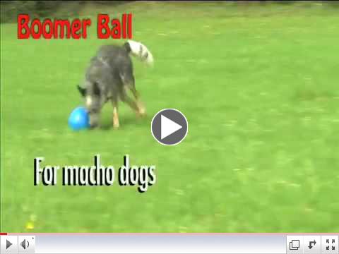 Boomer Balls
