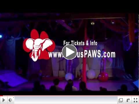 Circus PAWS 30-second Public Service Announcement