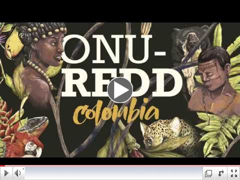 Resultados programa ONU Redd Colombia