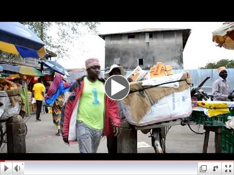 Tanzanian Diaspora Conference in Zanzibar in 2016