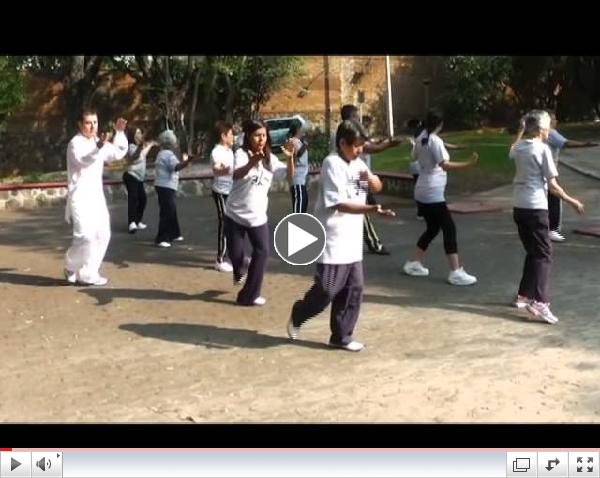 Dia del Tai chi Chi Kung 2013