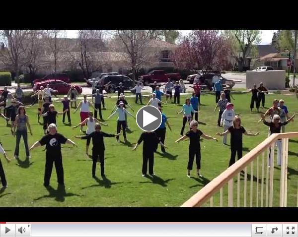 World Tai Chi Day Minden NV 2013