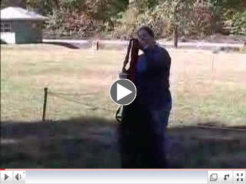 NESBC, Working Dog Demonstration Part 1