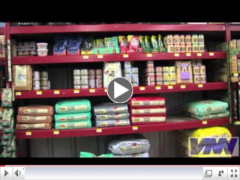 Looking for the Right Pet Food