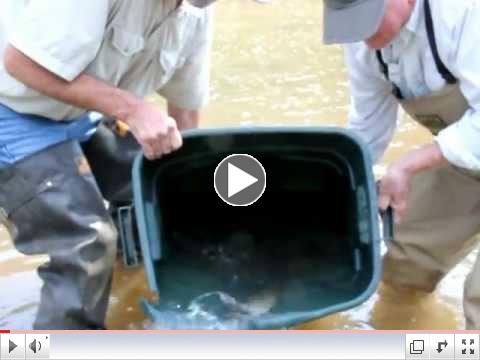 Slate Run Tackle stocking Naval Run Pool on Pine Creek