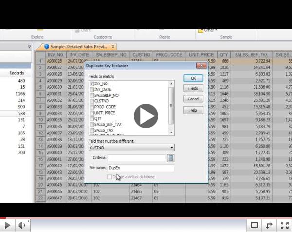 CaseWare IDEA Tutorials:Duplicate Key Exclusion