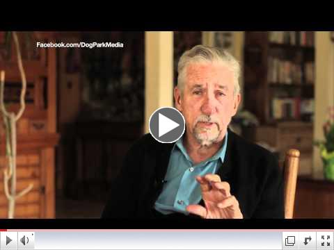 Tom Hayden Urges Governor To Not Kill Shelter Animals